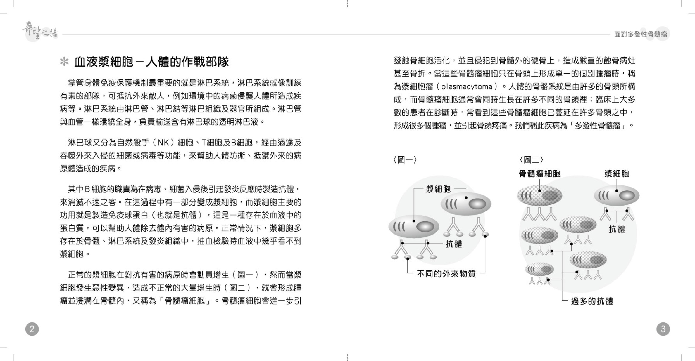 面对多发性骨髓瘤 5.jpeg