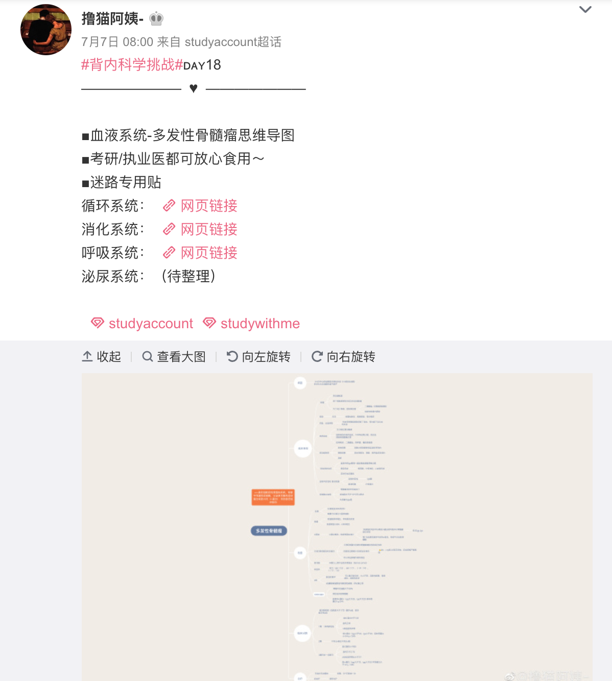 撸猫阿姨.png