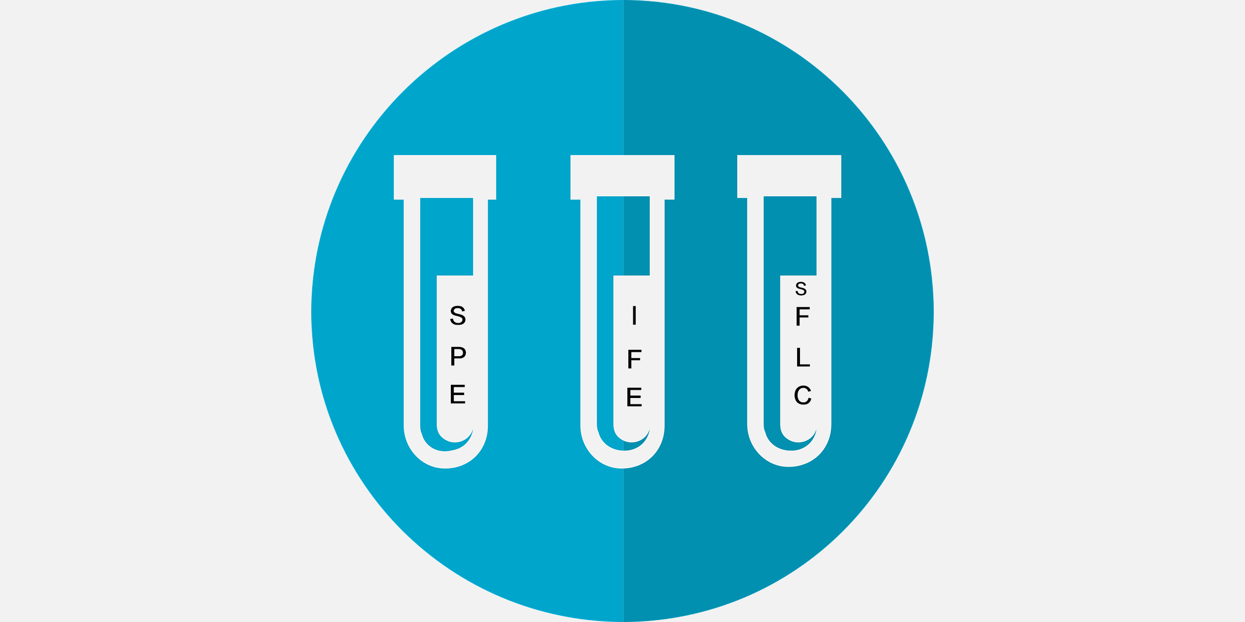 SPE-IFE-FLC封面.jpg