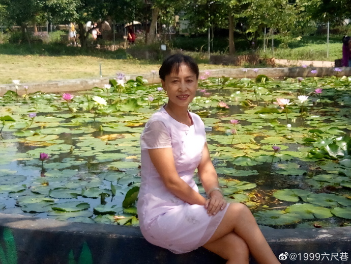 病树前头万木春6.jpg
