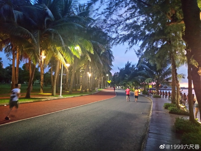 蝉鸣林愈静5.jpg