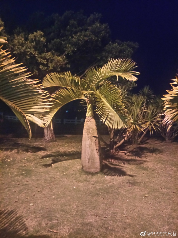 稳住就是成功4.jpg