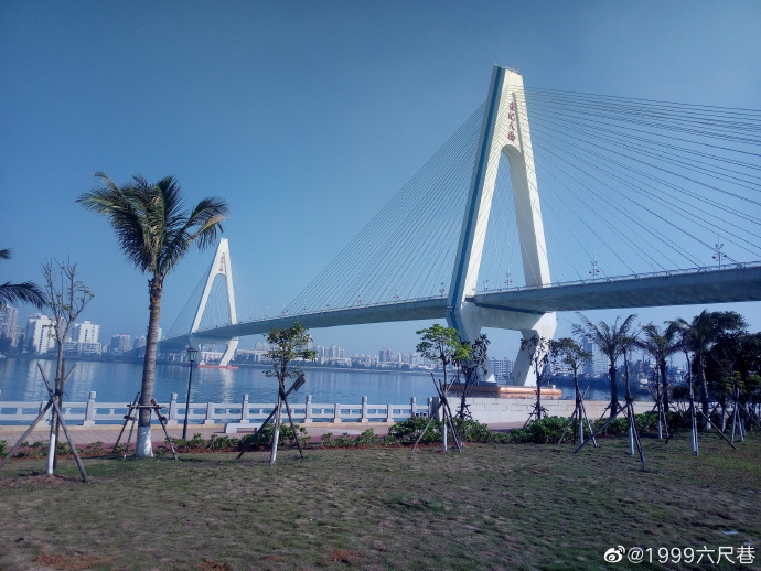 移植药物反应6.jpg
