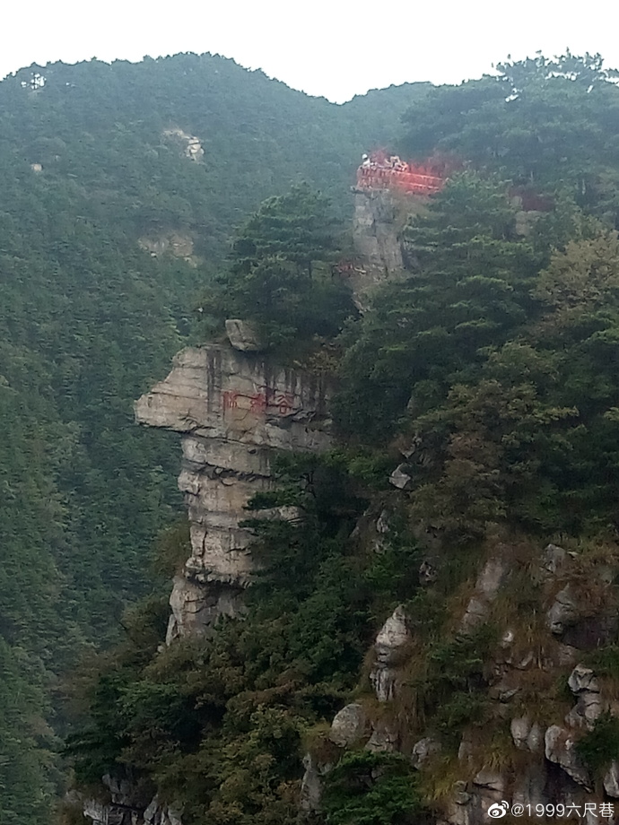 涨白细胞3.jpg