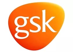 GSK.png