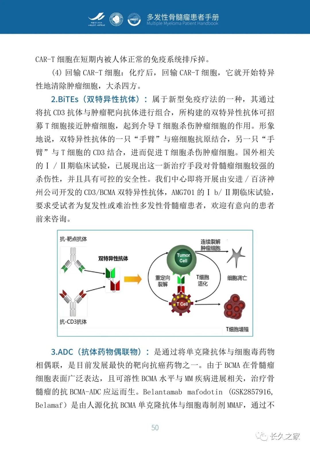 b629d7082ccab8a77d97b6029cebde2d.jpg