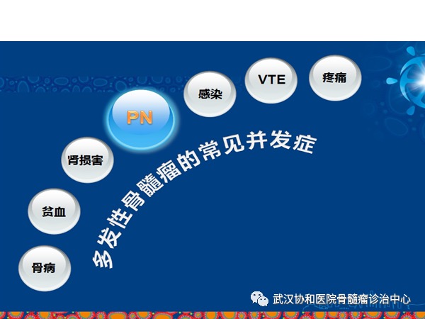 赵菲讲PN1.png