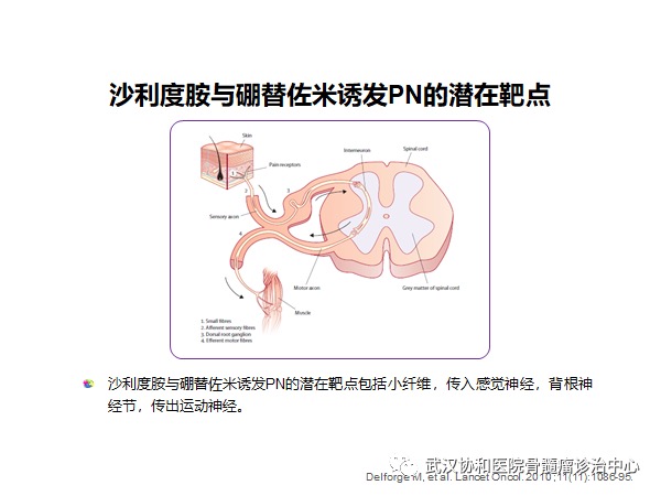 赵菲讲PN6.png