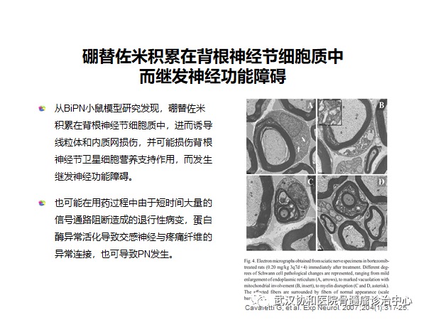 赵菲讲PN7.png