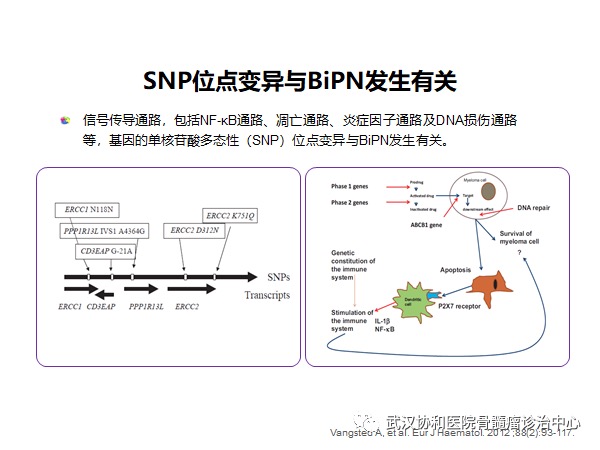 赵菲讲PN9.png