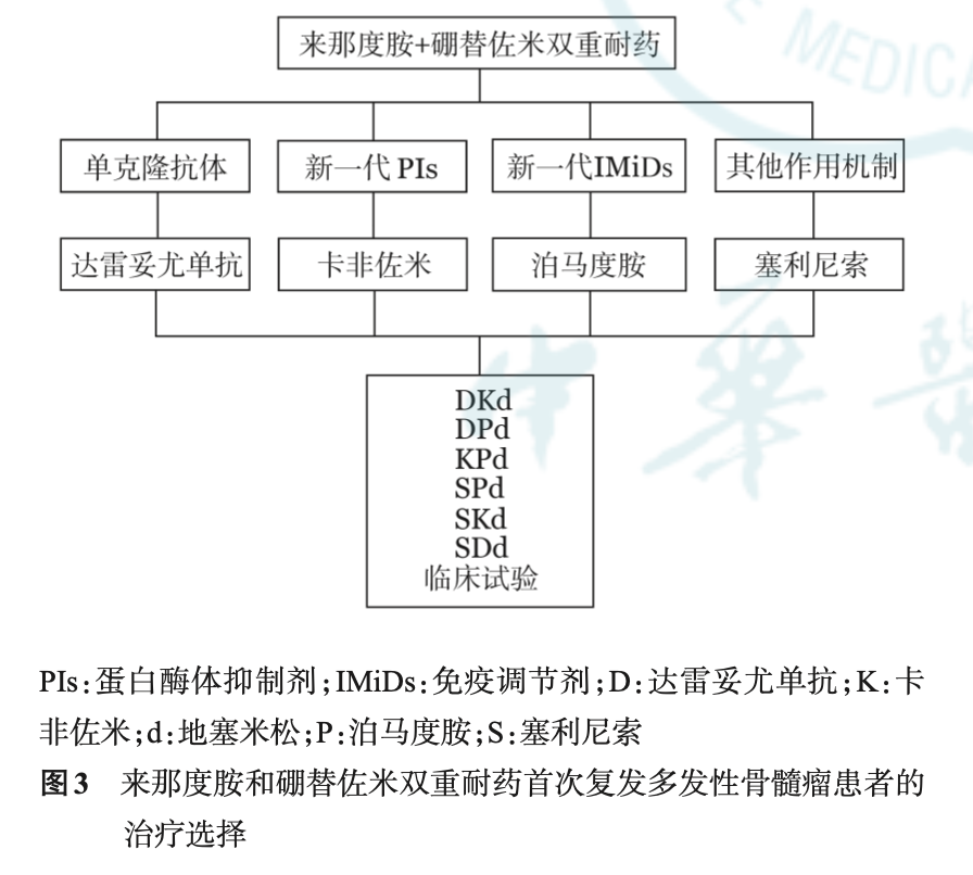 图3 硼替佐米来那度胺双重耐药.png