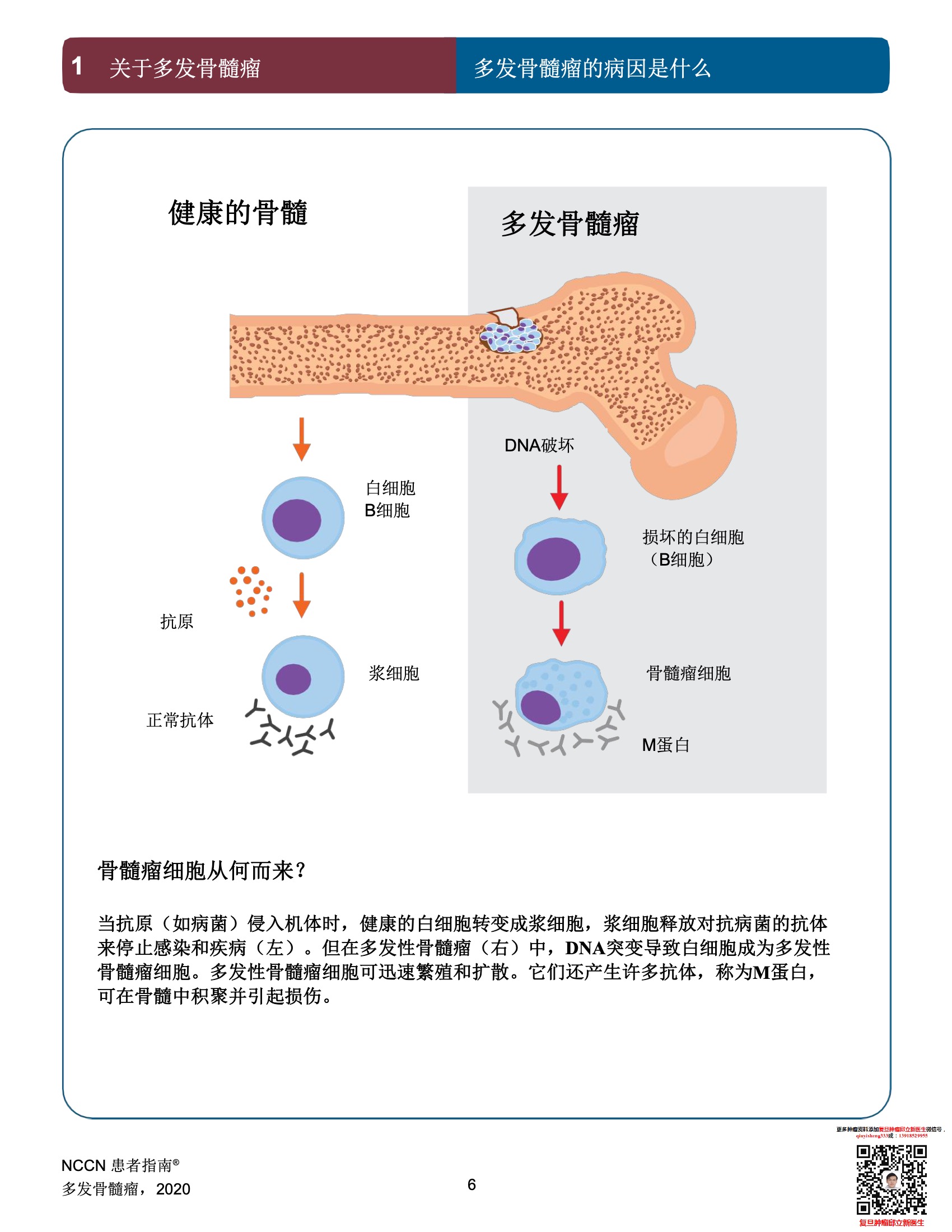 多发性骨髓瘤NCCN患者指南中文版2022 8.jpeg
