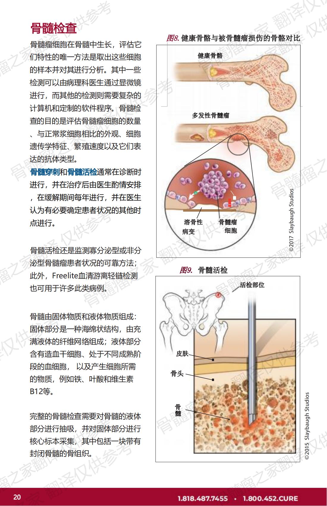IMF - 了解您的检测结果 2023年2月出版(Marked) V.2_19.jpg