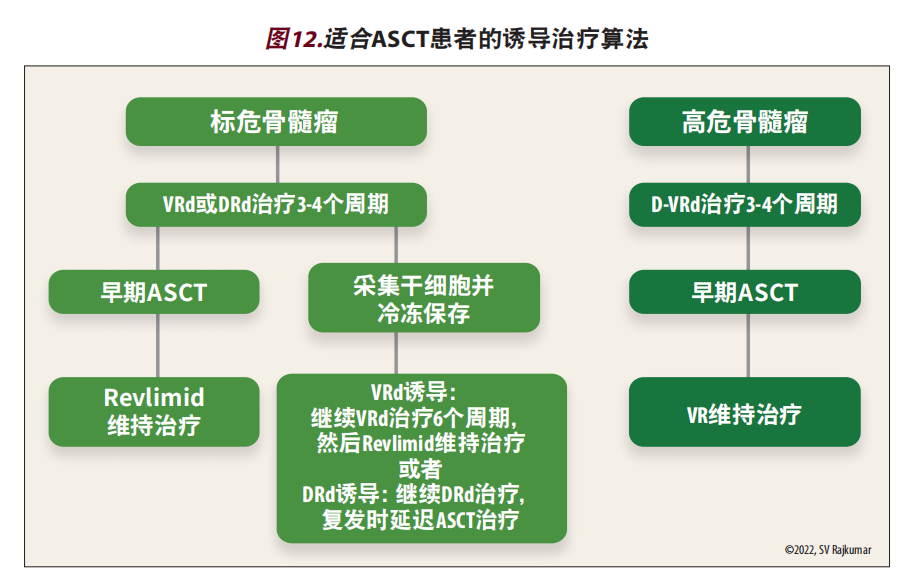 IMF 适合ASCT的治疗方式.png