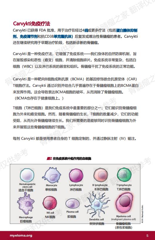 U-Carvykti_EN_2023_西达基奥仑赛 中文翻译 V1_04.jpg