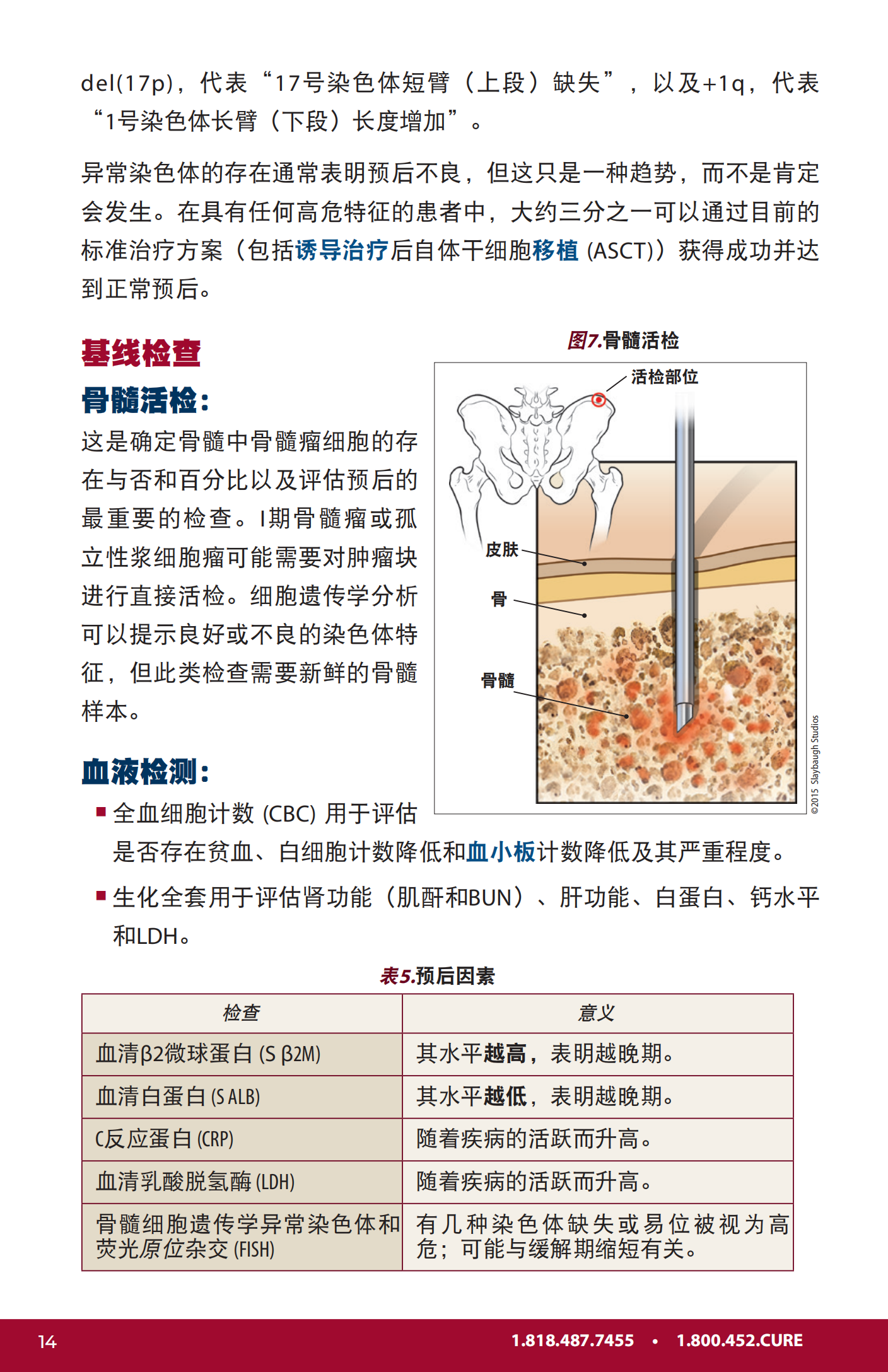 IMF 新诊断患者手册 Chinese (PRC)_PHB_EN_2023_13.png