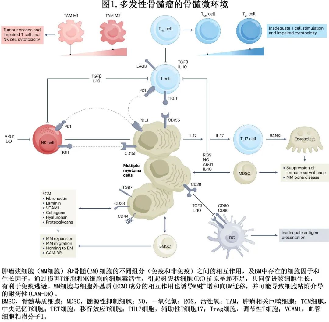 a877d19aa902effc3996b752141a0e26.jpg