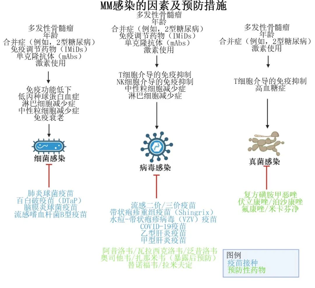 3c4090fe2bac227b7b9e2c65584772a4.jpg