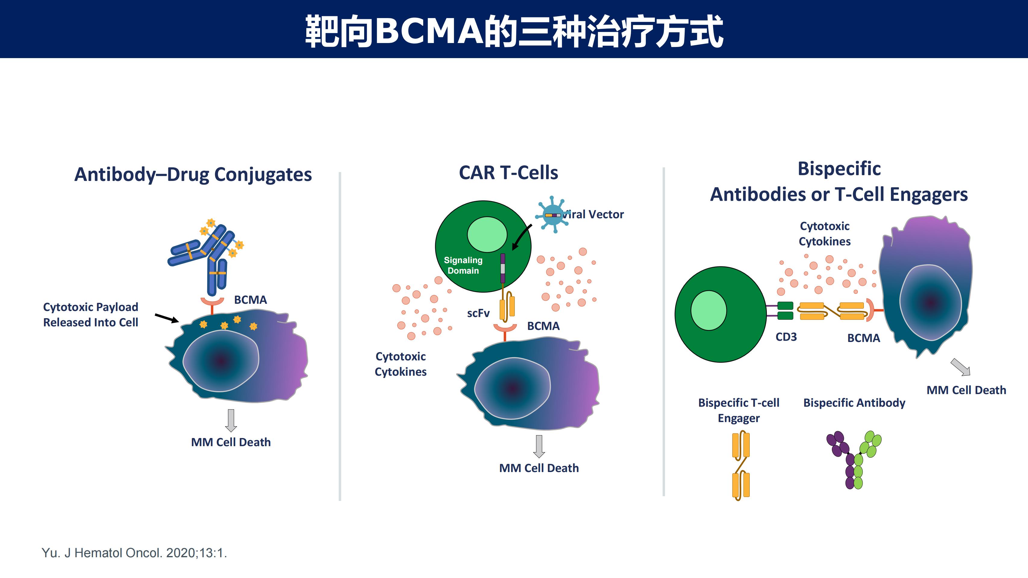 淀粉样变性的免疫治疗2.0时代(1)_05.jpg