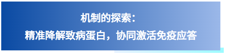 706e7c002ec526eecb740eb6041aae95.png