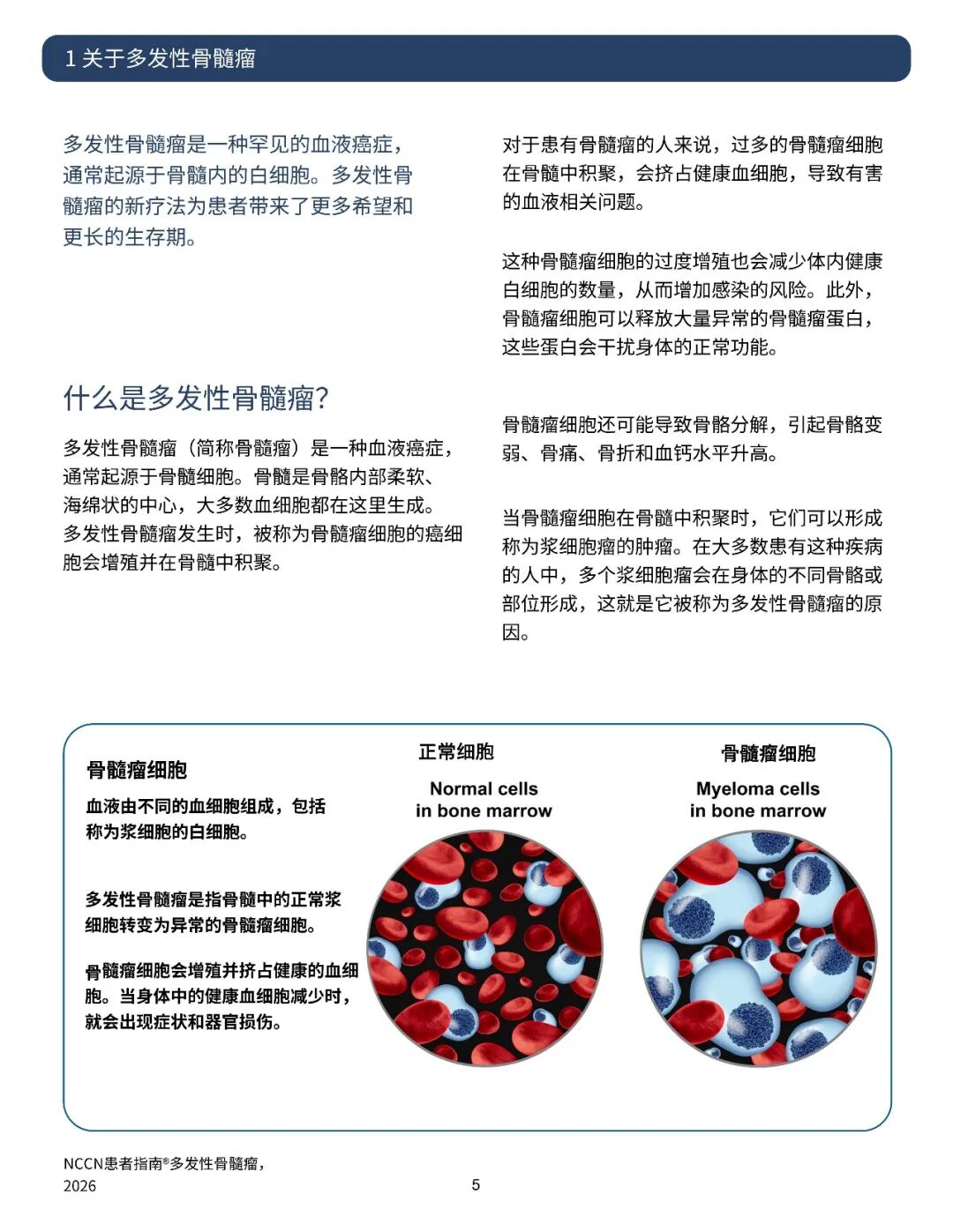 ff383a3303017a37353d403dedc648bf.jpg