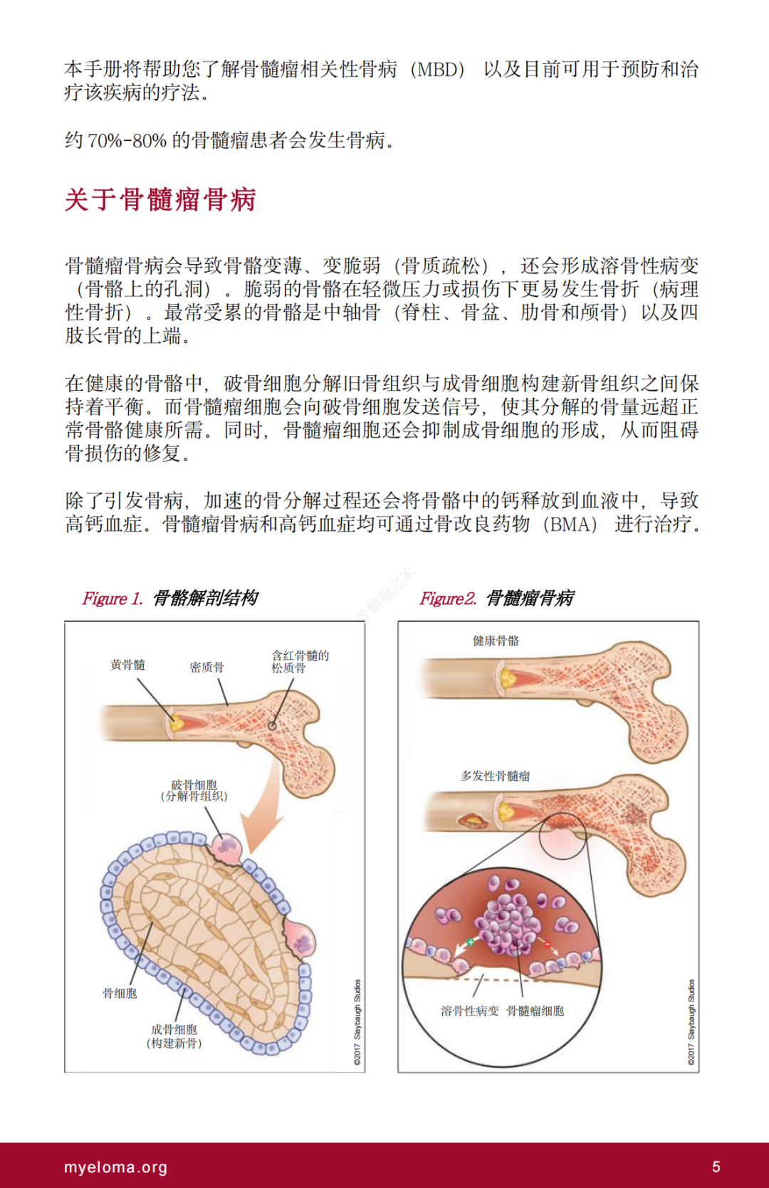 477eab5214aa3488e7bf3dcc519ecf2c.png