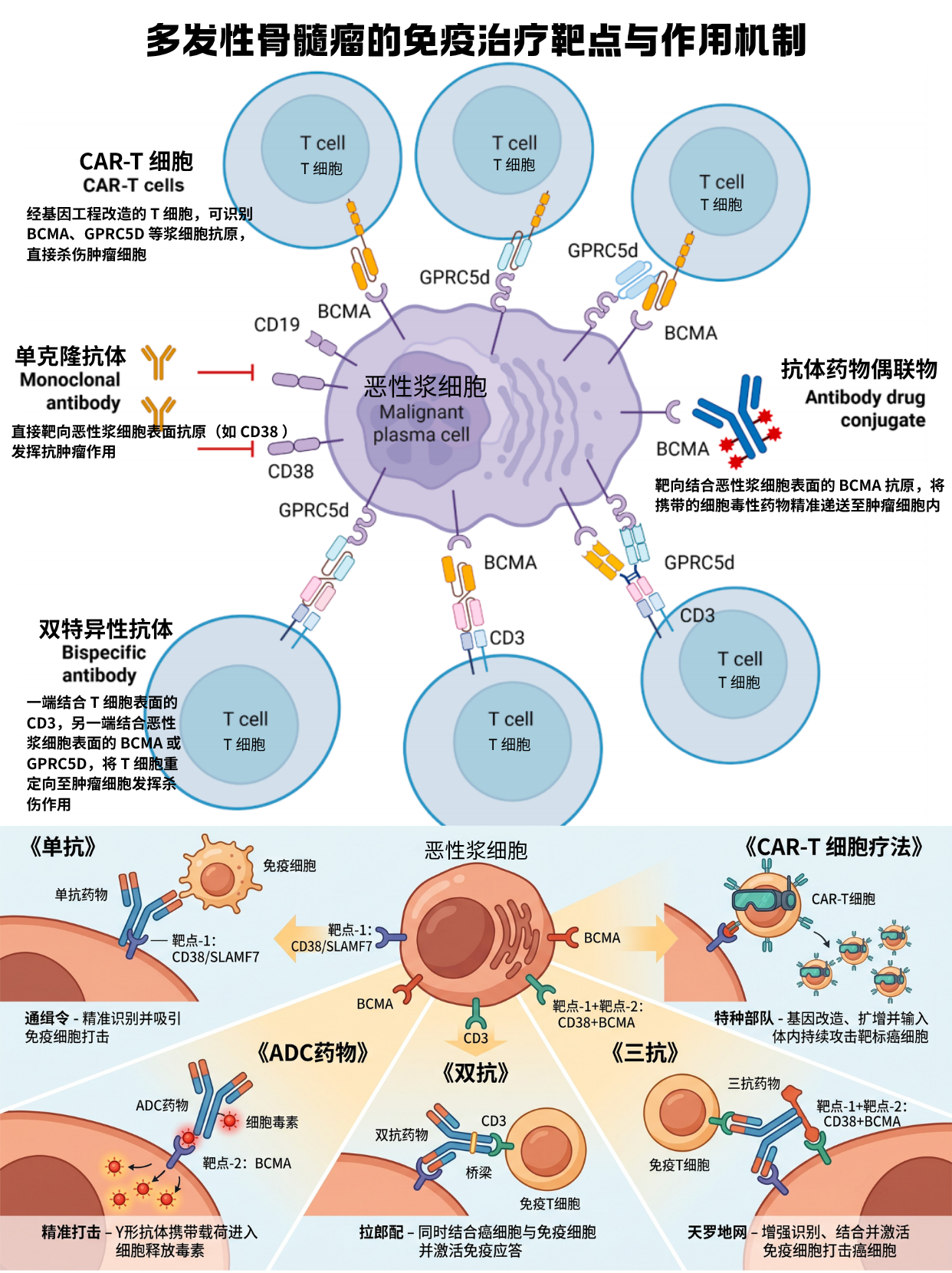 多发性骨髓瘤的免疫治疗药物盘点